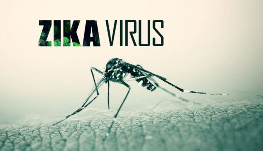 virus zika