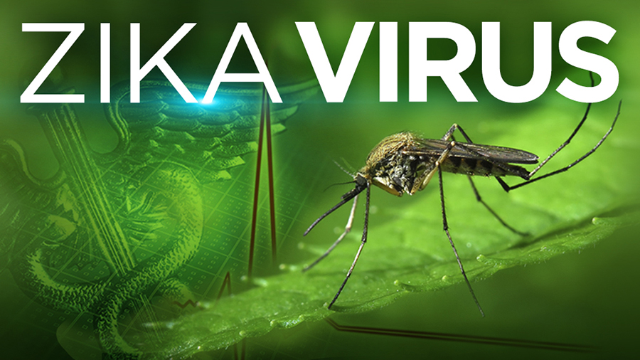 zika-virus-web